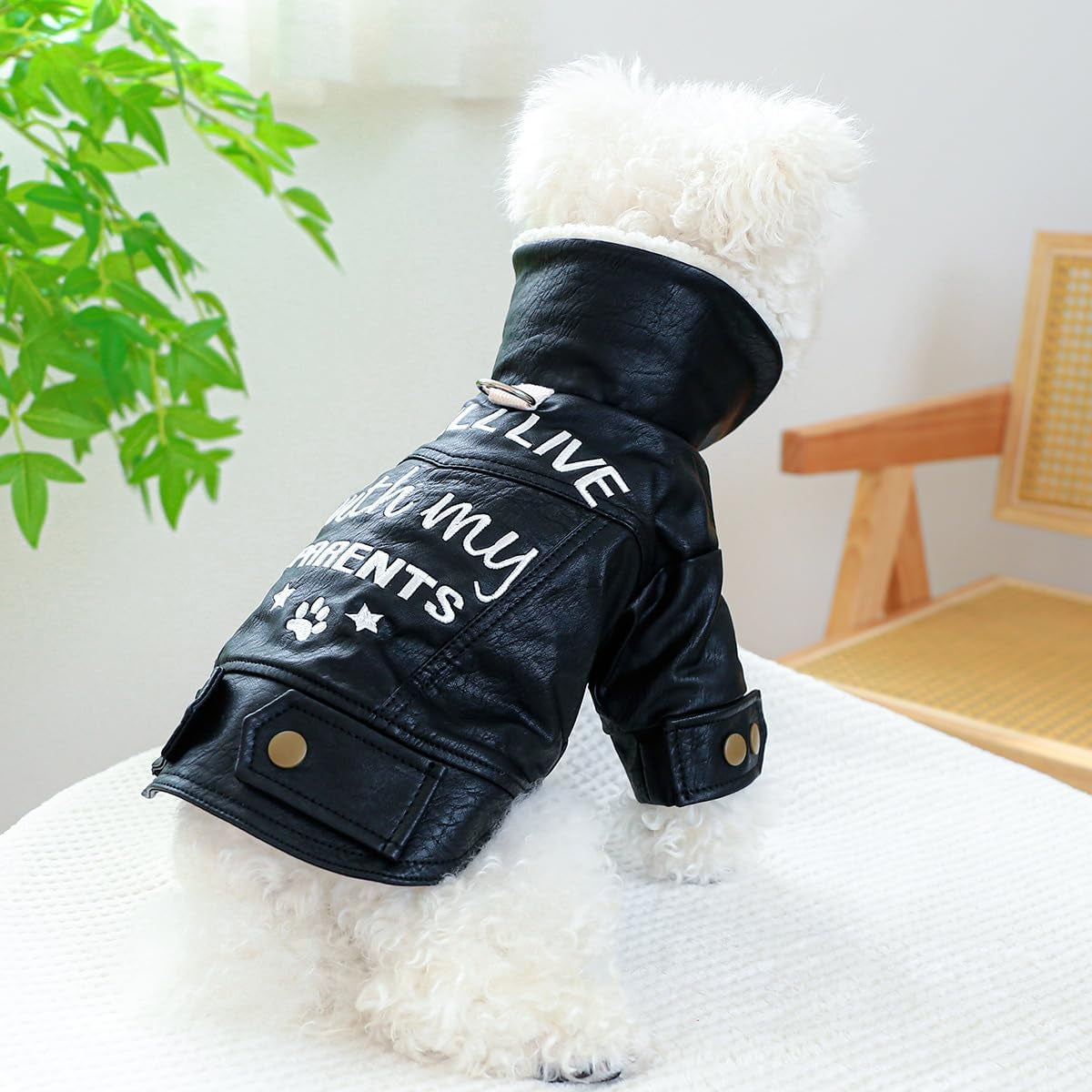 Dog Leather Jacket Fleece Lined Puppy Leather Coat Small Dog Winter Stylish Jacket Cold Weather Chihuahua Yorkie Warm Windproof Waterproof Coats Pet Christmas Holiday Birthday Dog Clothes