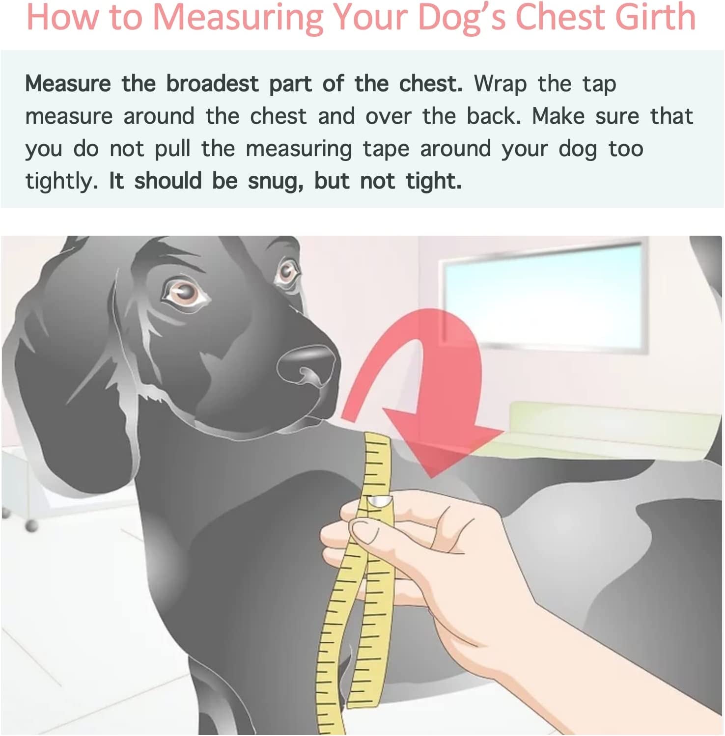 Stylish Dog Hoodie Dog Clothes Streetwear Cotton Sweatshirt Fashion Outfit for Dogs Cats Puppy Small Medium Large (XL, Black)