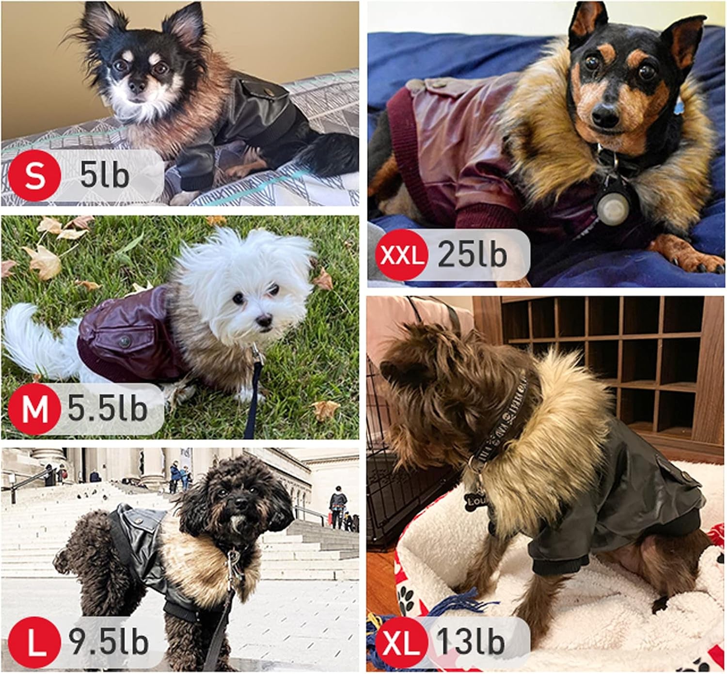 Dog Leather Jacket, Small Dog Jacket, Double Layer, Fleece Lined, Black, Large