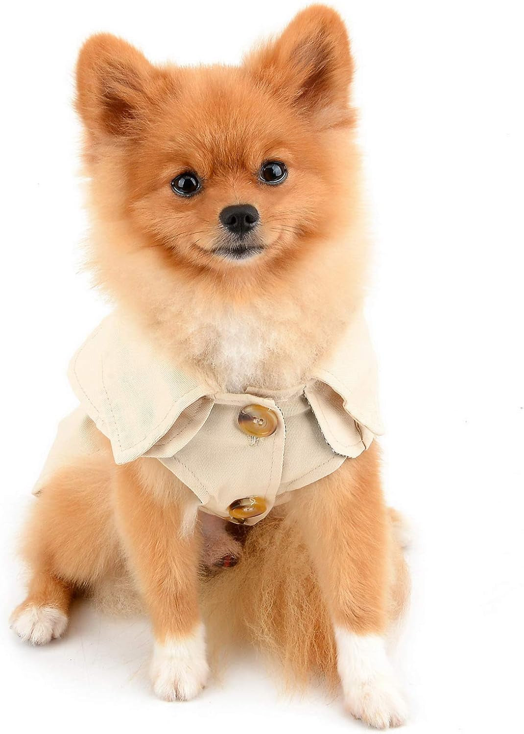 Pet Trench Coat for Small Dogs Girl Boy Windproof Fashion Western Jacket Belted Outerwear Autumn Winter Dog Clothes for Puppy Chihuahua Yorkie,Khaki,Size XXL