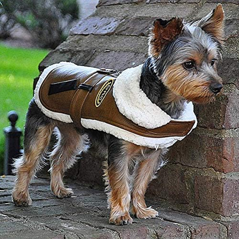 Aviaton Pilot Aviator Bomber Jacket Harness – Includes Airplane Clip Charm Accessory and Matching Leash – Dog Sizes XS Thru 2XL (Small Fits Neck 11”-12”, Chest 12”-15”, Warm Chocolate)