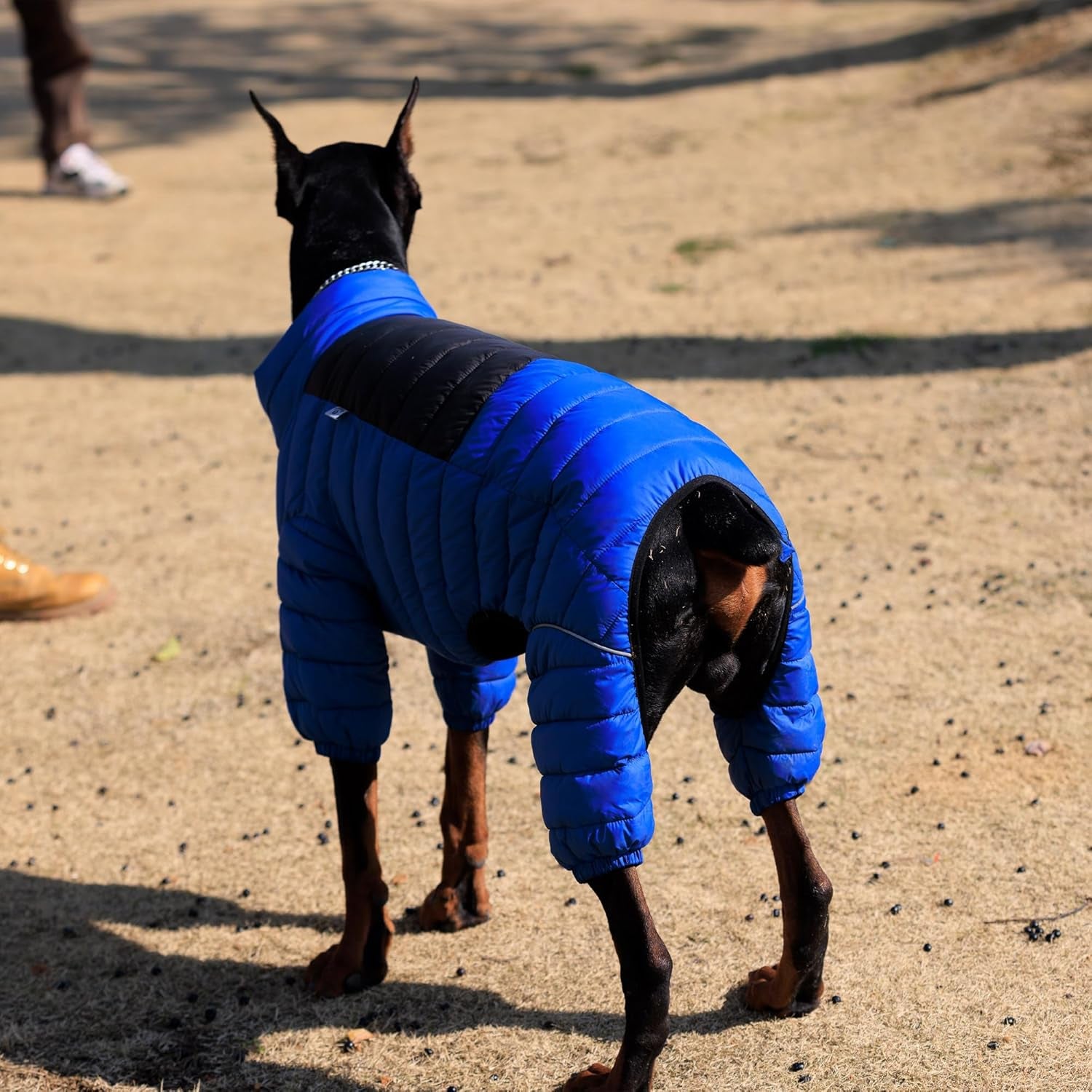 Dog Coat Dog Warm Jacket, 4 Legs Covered Waterproof Windproof Reflective Warm Dog Vest, Zippered Adjustable Outdoor Dog Snow Jacket for Small Medium Large Dogs Blue S