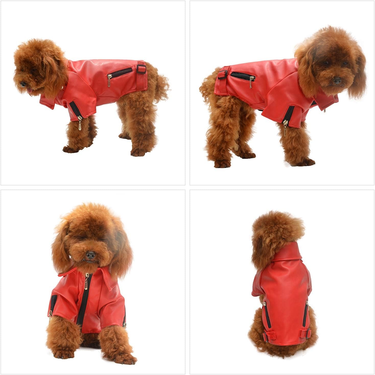 Cool Dog Leather Jacket, Warm Coats Dogs Windproof Cold Weather Coats for Large Medium Small Dogs, Miniature Schnauzers Clothing Red L