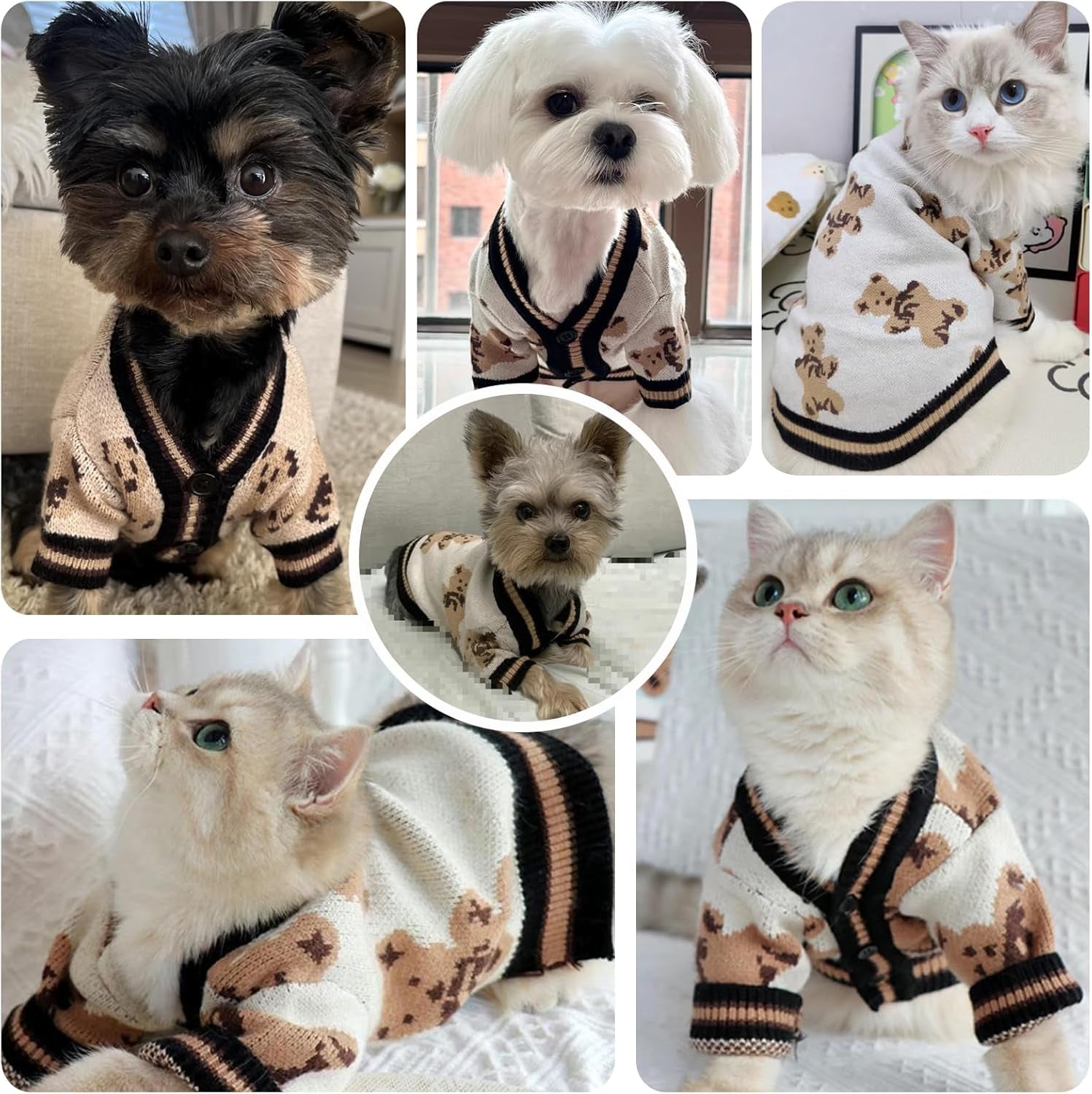 Small Dog Sweaters Cute Bear Dog Cardigans Clothes for Small Medium Dogs Boy Girl Puppy Cat Knitting Cardigan Outfits Dogs Autumn Coats Warm Pet Doggy Clothes Soft Knitwear Apparel (Beige,M)