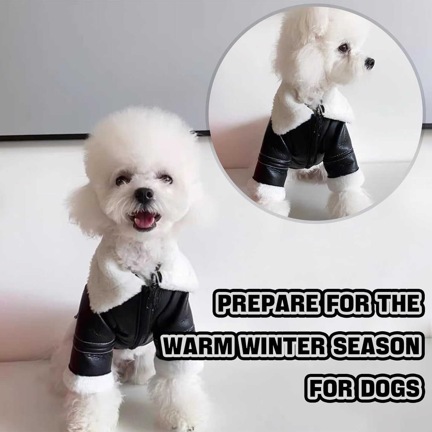 Dog Leather Jackets, Puppy Winter Coats, Windproof Waterproof Warm Lined Jackets for Small Dogs Puppy, Cute Leather Dog Jackets Winter Coat(M)