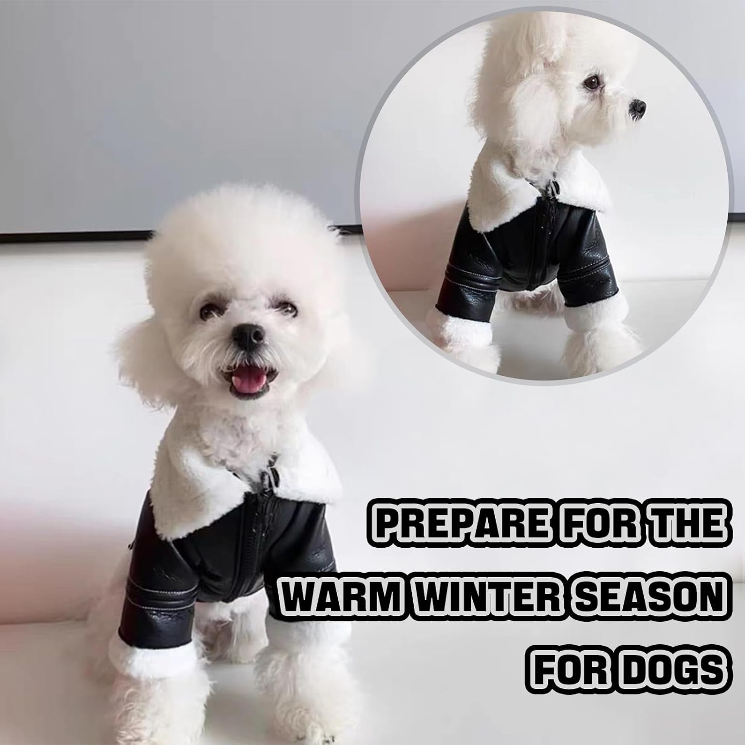 Dog Leather Jackets, Puppy Winter Coats, Windproof Waterproof Warm Lined Jackets for Small Dogs Puppy, Cute Leather Dog Jackets Winter Coat(M)