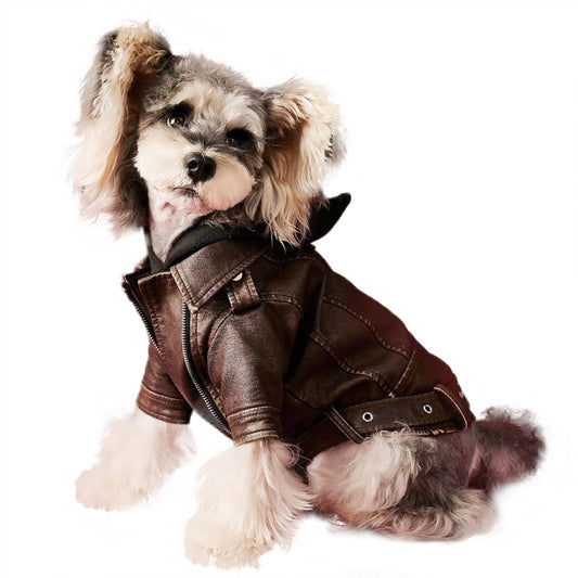 Dog Leather Jacket - Cute PU Motorcycle Puppy Jacket - Windproof Waterproof Dog Coat with Zipper - Extra Small - for Chihuahua, Yorkie - Brown