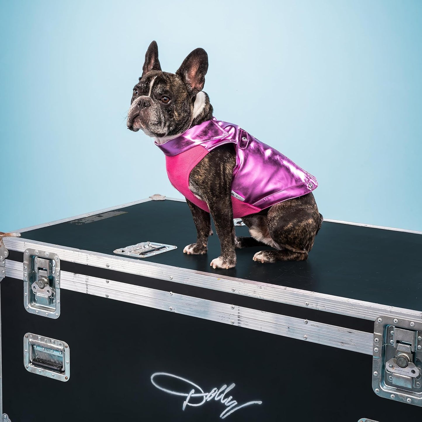 Rhinestone Bomber Jacket for Dogs - Large, Pink