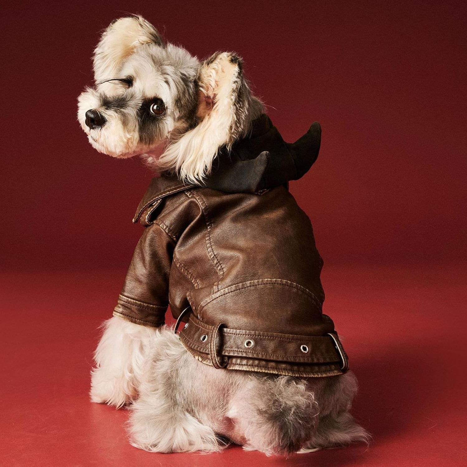 Dog Leather Jacket - Cute PU Motorcycle Puppy Jacket - Windproof Waterproof Dog Coat with Zipper - Extra Small - for Chihuahua, Yorkie - Brown