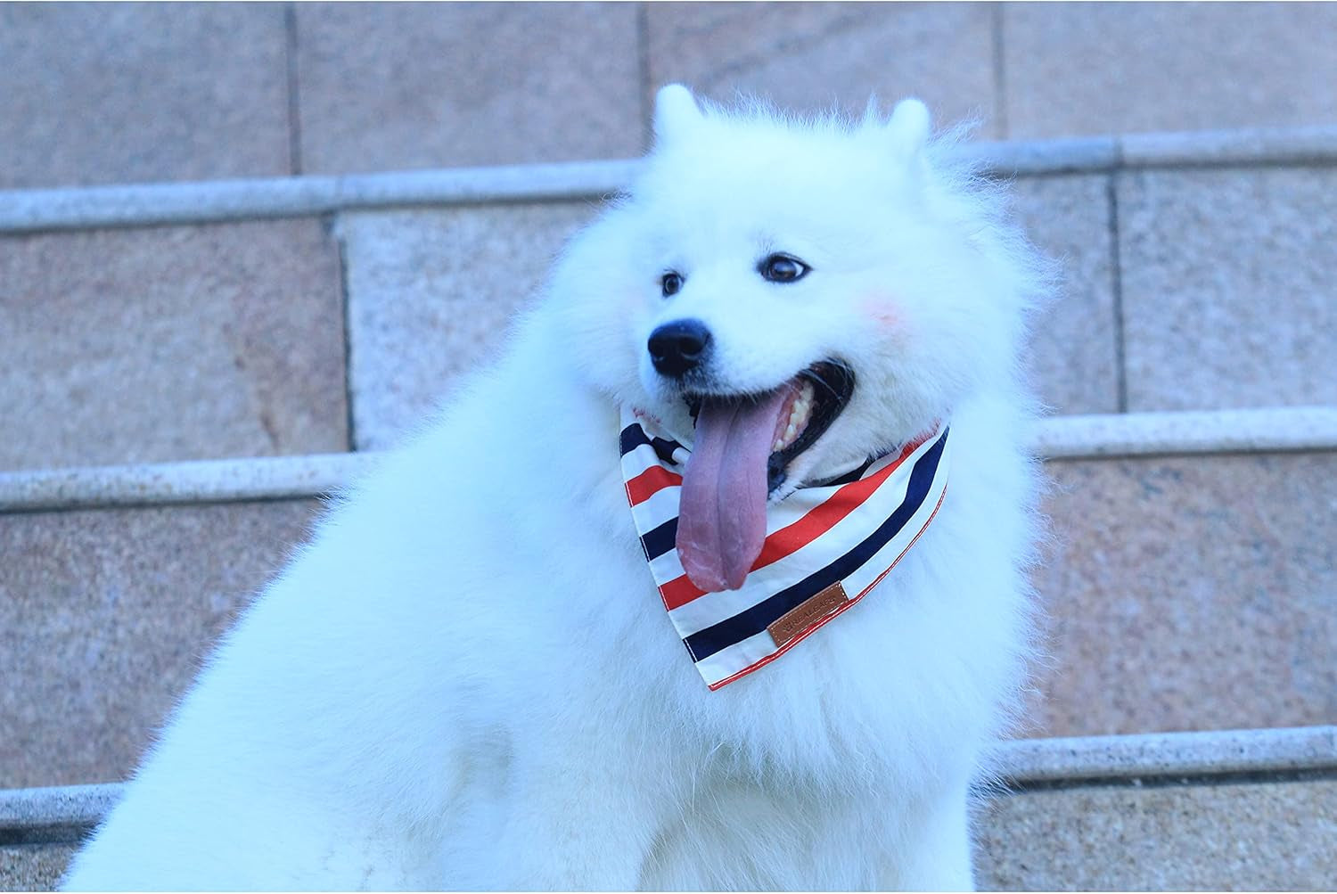4Th of July Dog Bandanas 2 Pack, Reversible American Flag Pet Scarf for Boy and Girl, Premium Durable Fabric, Patriotic Bandana for Large and Extra Large Dogs (X-Large)