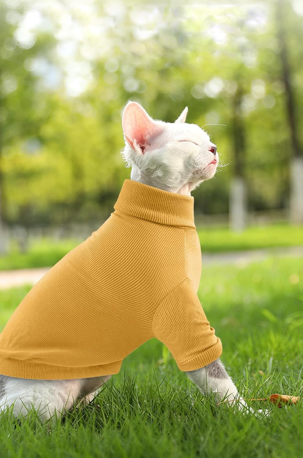 Sphynx Cat Shirt,Hairless Cats Cotton Clothes Turtleneck Sweater Breathable Pullover Kitten Apparel Adorable Vest Pajamas Jumpsuit for Cat and Small Dogs (Large, Yellow)