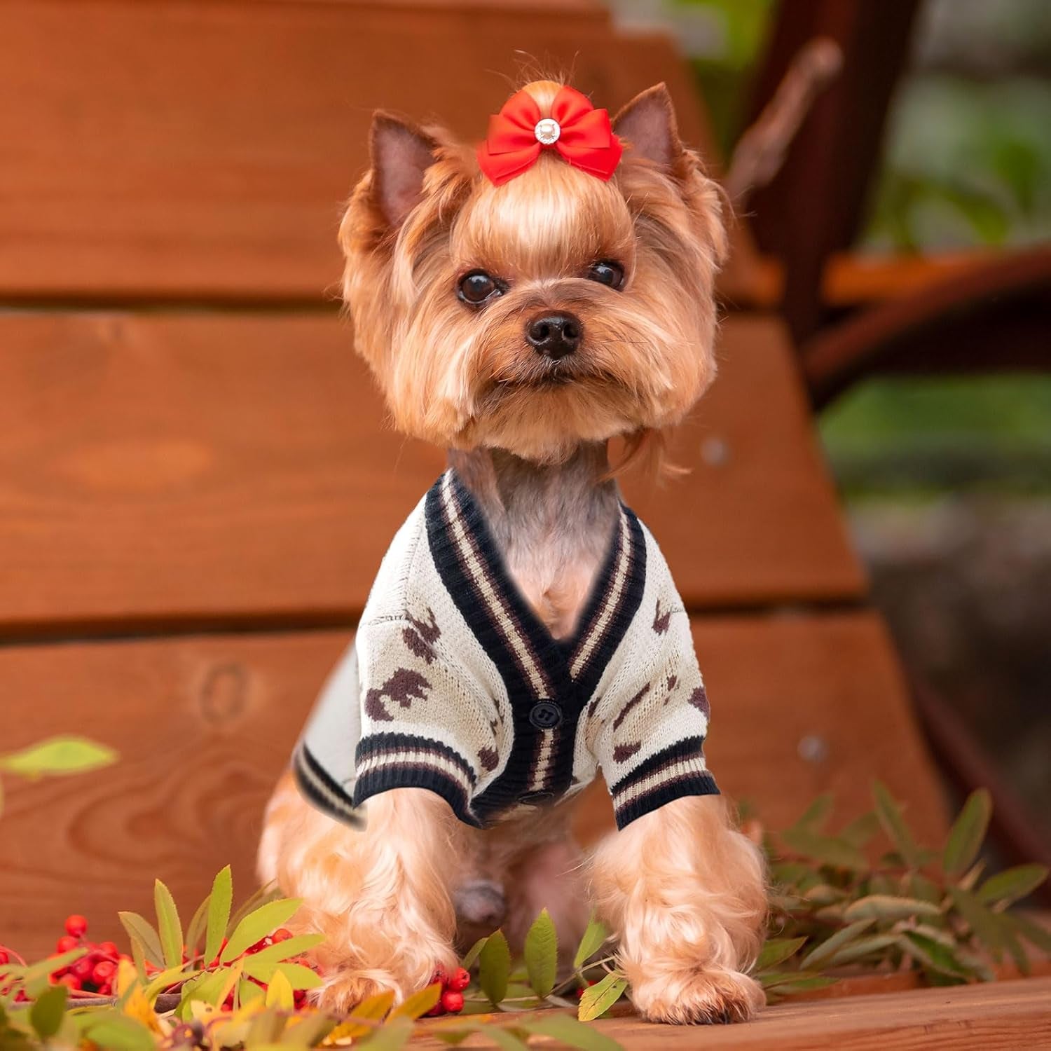 Small Dog Sweaters Cute Bear Dog Cardigans Clothes for Small Medium Dogs Boy Girl Puppy Cat Knitting Cardigan Outfits Dogs Autumn Coats Warm Pet Doggy Clothes Soft Knitwear Apparel (Beige,M)