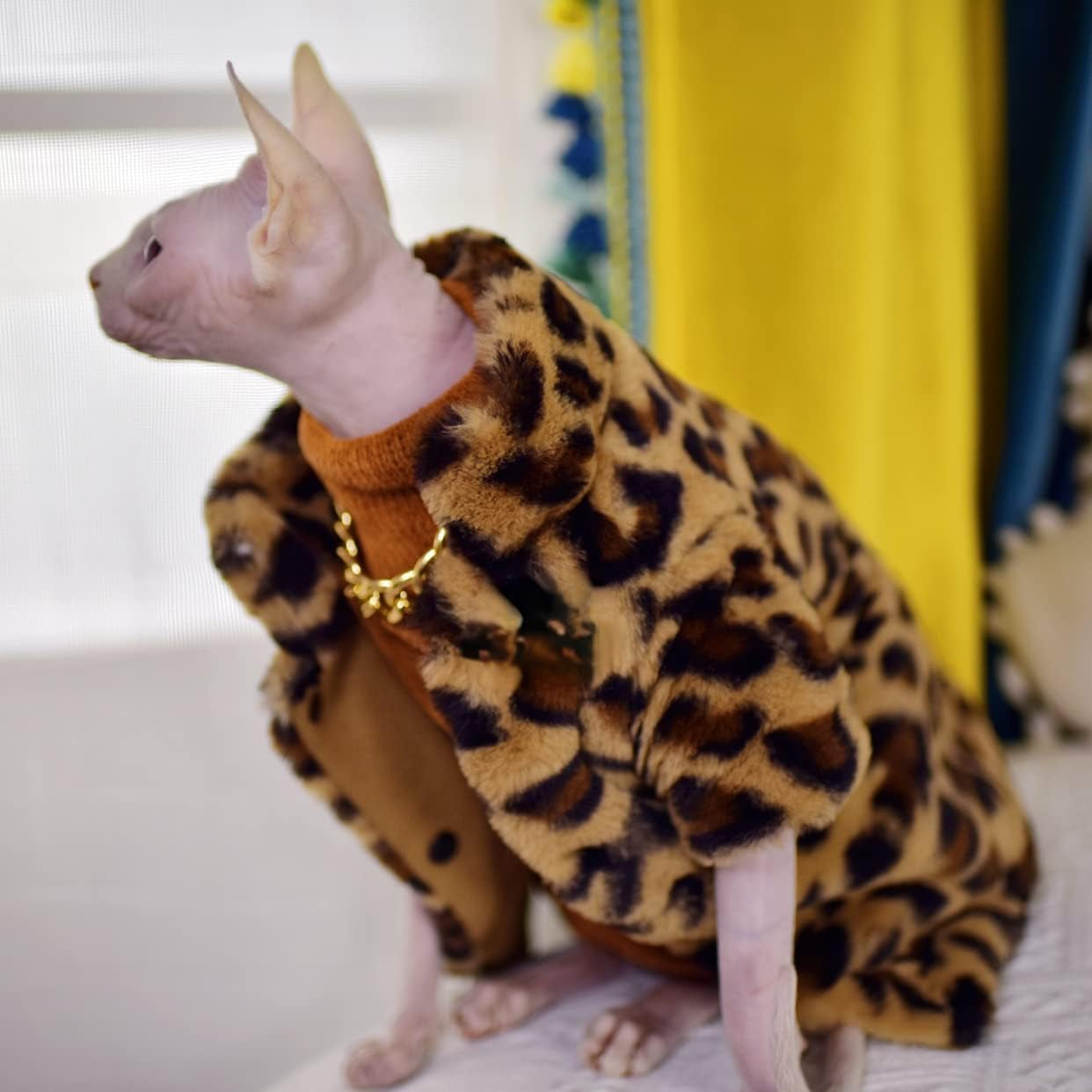 Sphynx Cat Clothes Winter Velvet Warm Soft 2- Layers Winter Jacket Thickened Hairless Cat Coat for Sphynx, Cornish Rex, Devon Rex, Peterbald Cat Clothes (Large)