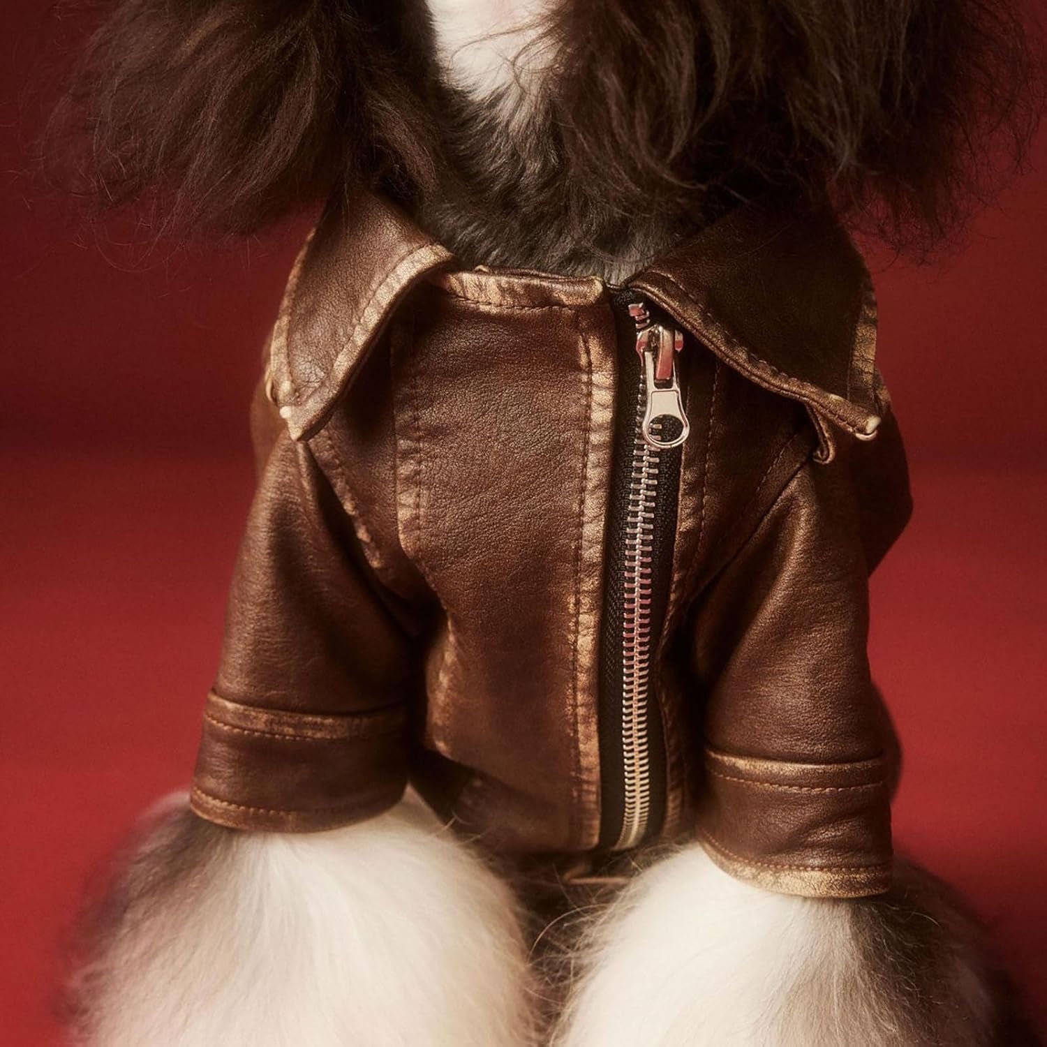 Dog Leather Jacket - Cute PU Motorcycle Puppy Jacket - Windproof Waterproof Dog Coat with Zipper - Extra Small - for Chihuahua, Yorkie - Brown