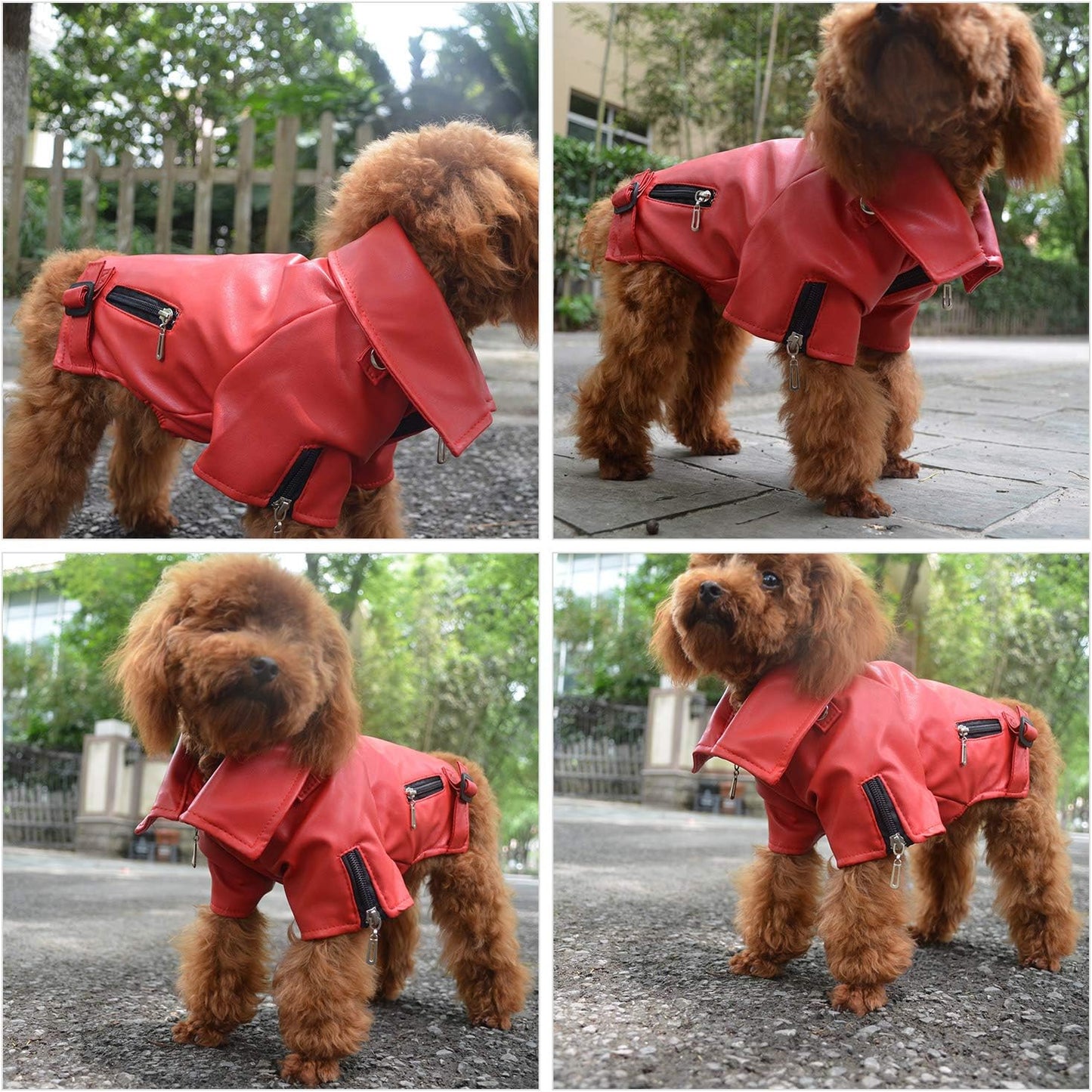Cool Dog Leather Jacket, Warm Coats Dogs Windproof Cold Weather Coats for Large Medium Small Dogs, Miniature Schnauzers Clothing Red L
