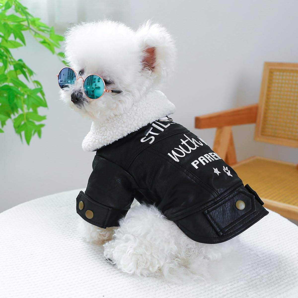 Dog Leather Jacket Fleece Lined Puppy Leather Coat Small Dog Winter Stylish Jacket Cold Weather Chihuahua Yorkie Warm Windproof Waterproof Coats Pet Christmas Holiday Birthday Dog Clothes