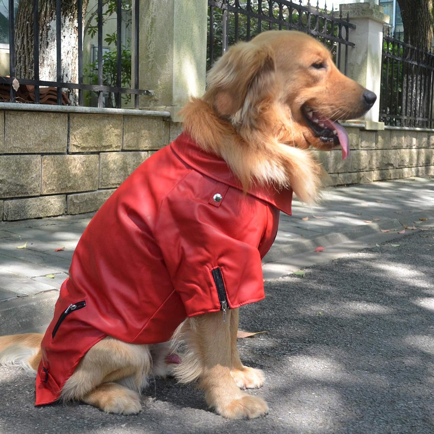 Cool Dog Leather Jacket, Warm Coats Dogs Windproof Cold Weather Coats for Large Medium Small Dogs, Miniature Schnauzers Clothing Red L