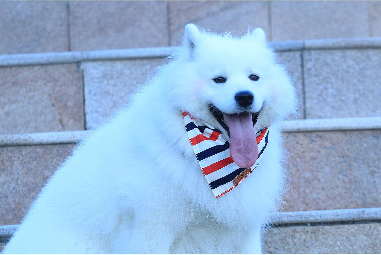4Th of July Dog Bandanas 2 Pack, Reversible American Flag Pet Scarf for Boy and Girl, Premium Durable Fabric, Patriotic Bandana for Large and Extra Large Dogs (X-Large)