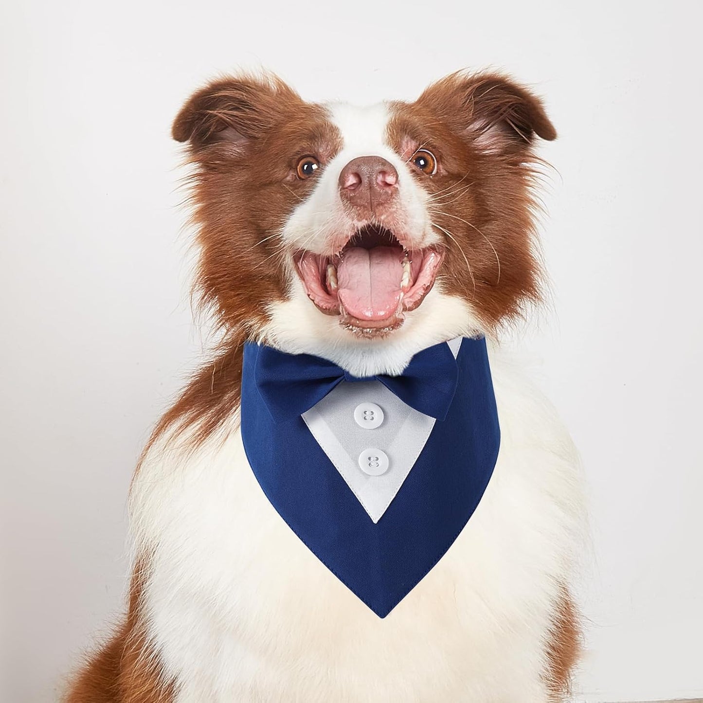 Dog Tuxedo, Formal Dog Wedding Bandana Collar with Bow Tie, Adjustable Pet Birthday Wedding Tux Outfit for Small Medium Large Dogs Pets(Small, Blue)