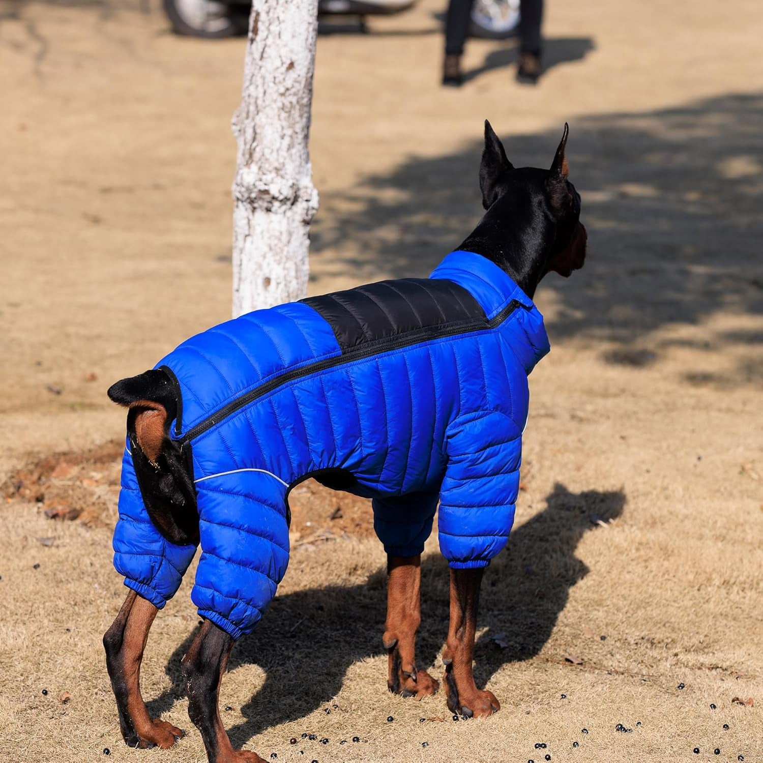 Dog Coat Dog Warm Jacket, 4 Legs Covered Waterproof Windproof Reflective Warm Dog Vest, Zippered Adjustable Outdoor Dog Snow Jacket for Small Medium Large Dogs Blue S