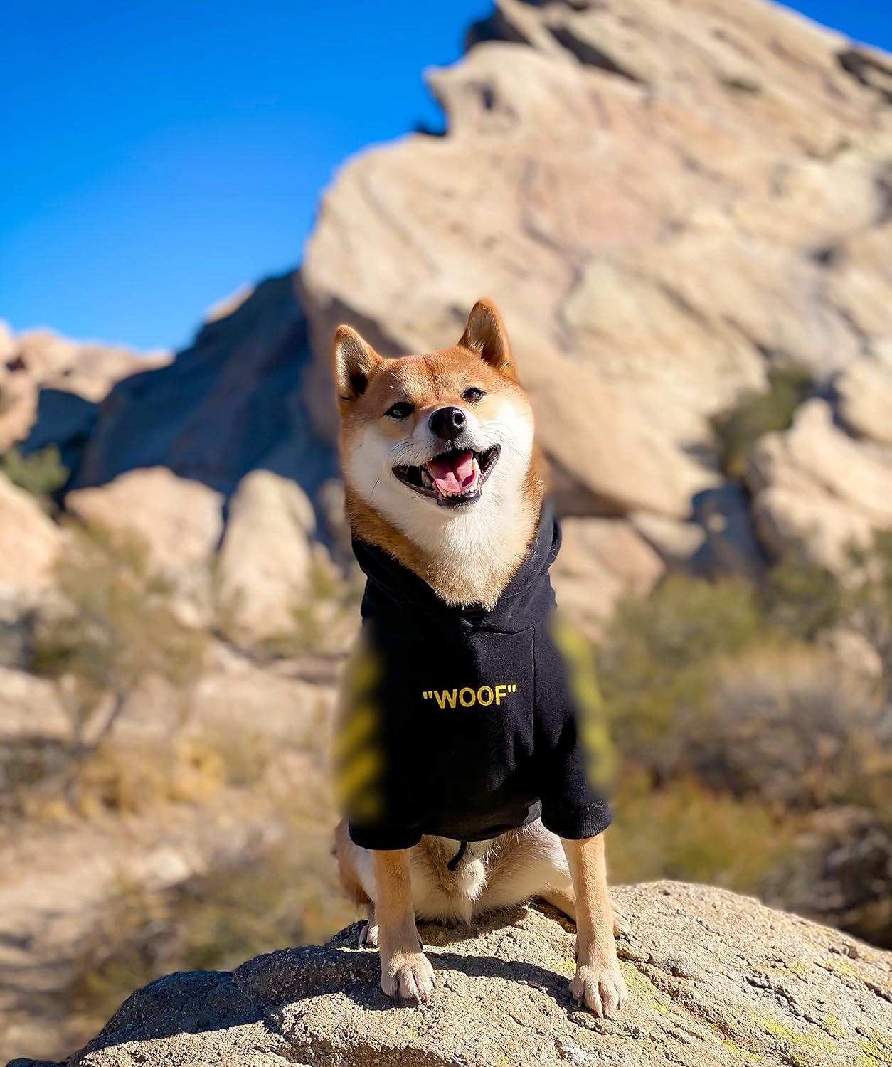 Stylish Dog Hoodie Dog Clothes Streetwear Cotton Sweatshirt Fashion Outfit for Dogs Cats Puppy Small Medium Large (XL, Yellow)