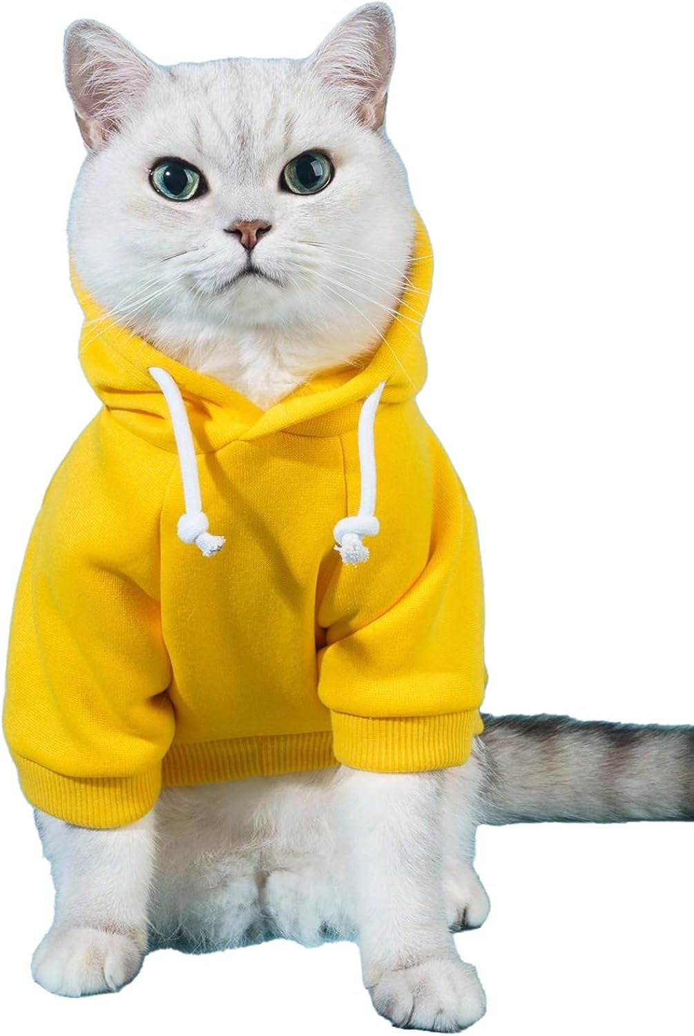 QWEENIE Basic Dog & Cat Hoodie, Warm Jacket - Small/Medium, Cadet Blue