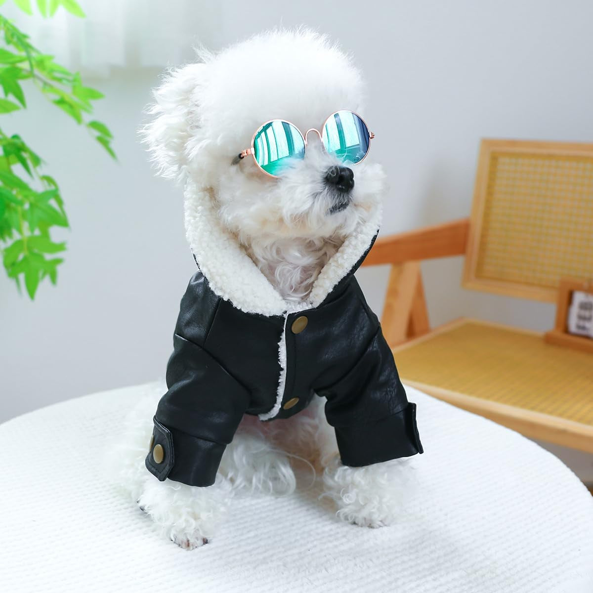 Dog Leather Jacket Fleece Lined Puppy Leather Coat Small Dog Winter Stylish Jacket Cold Weather Chihuahua Yorkie Warm Windproof Waterproof Coats Pet Christmas Holiday Birthday Dog Clothes