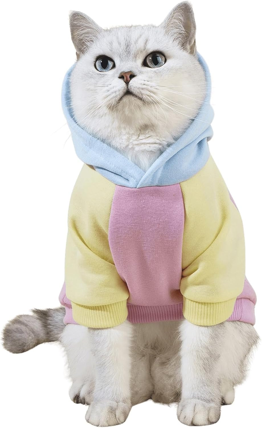 QWEENIE Basic Dog & Cat Hoodie, Warm Jacket - Small/Medium, Cadet Blue