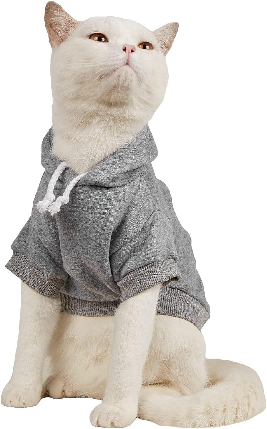 QWEENIE Basic Dog & Cat Hoodie, Warm Jacket - Small/Medium, Cadet Blue