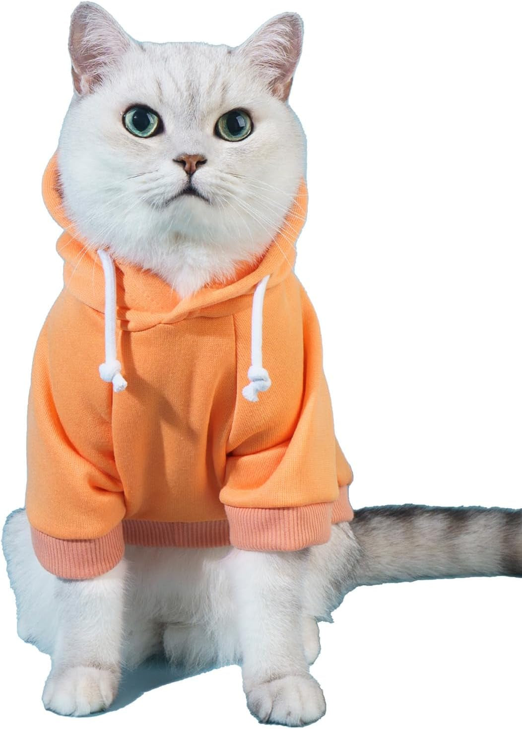 QWEENIE Basic Dog & Cat Hoodie, Warm Jacket - Small/Medium, Cadet Blue