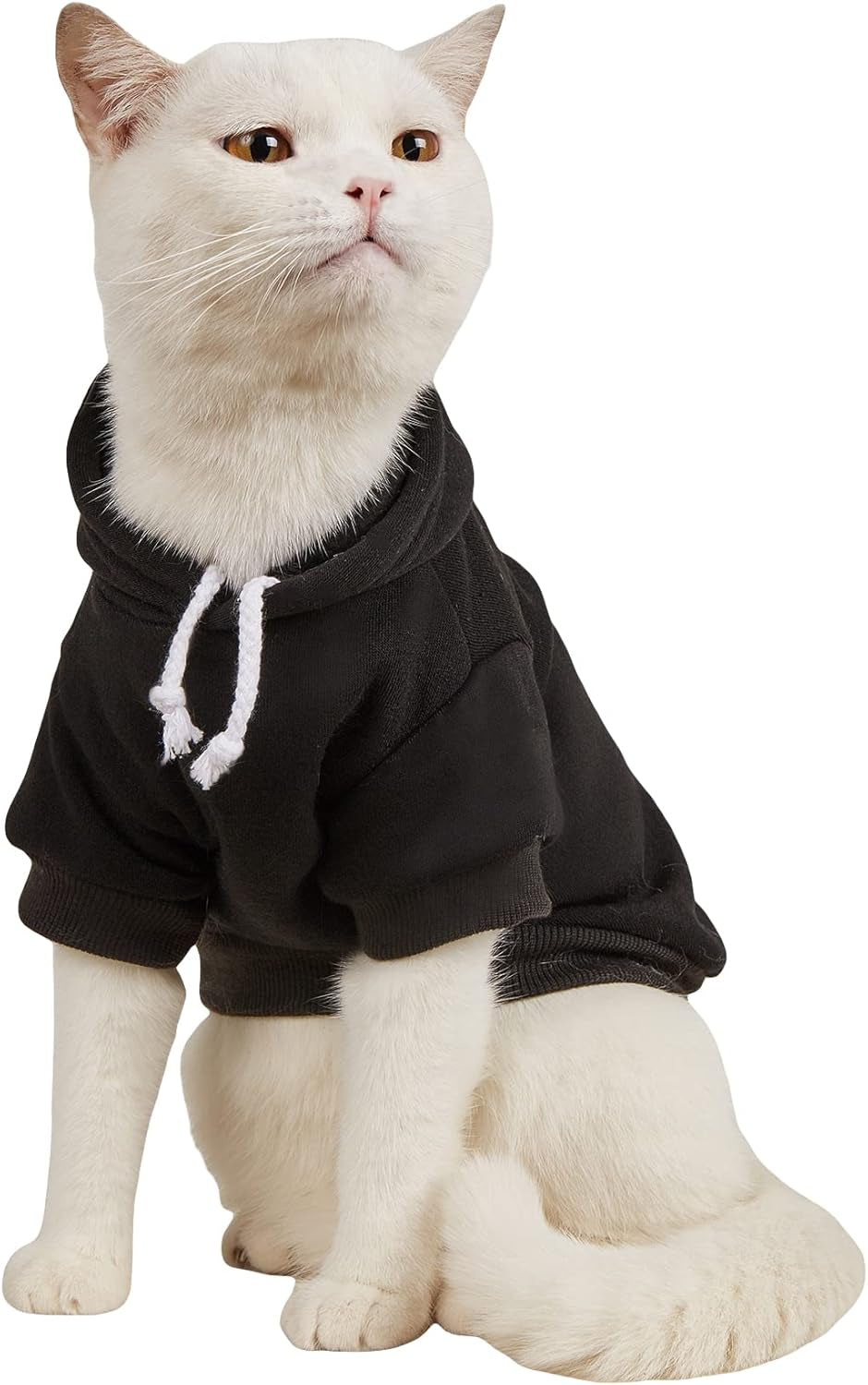 QWEENIE Basic Dog & Cat Hoodie, Warm Jacket - Small/Medium, Cadet Blue