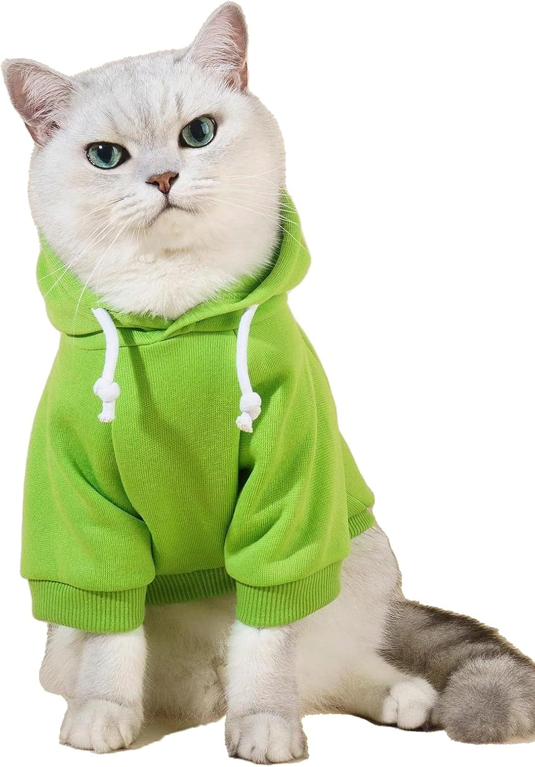 QWEENIE Basic Dog & Cat Hoodie, Warm Jacket - Small/Medium, Cadet Blue