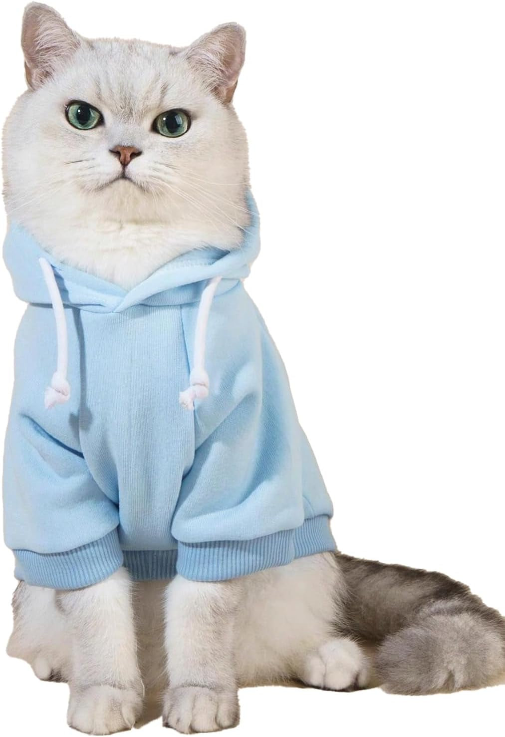 QWEENIE Basic Dog & Cat Hoodie, Warm Jacket - Small/Medium, Cadet Blue