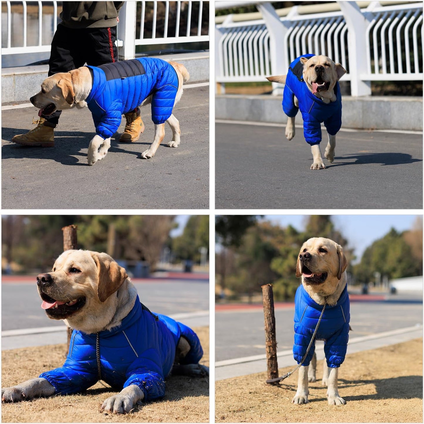 Dog Coat Dog Warm Jacket, 4 Legs Covered Waterproof Windproof Reflective Warm Dog Vest, Zippered Adjustable Outdoor Dog Snow Jacket for Small Medium Large Dogs Blue S