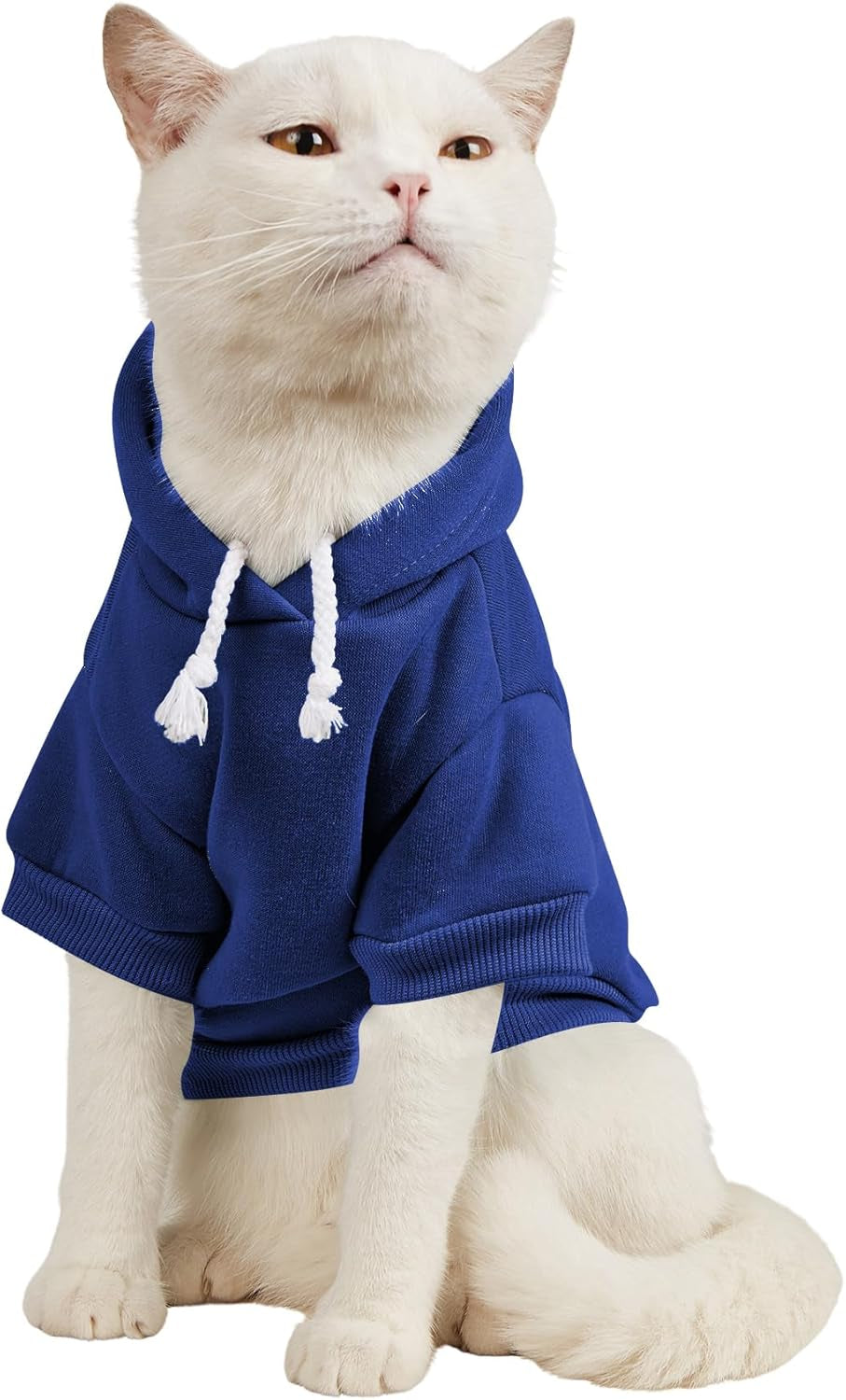 QWEENIE Basic Dog & Cat Hoodie, Warm Jacket - Small/Medium, Cadet Blue
