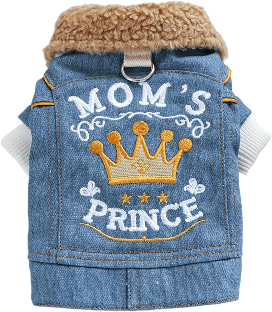 Dog Leather Jacket Fleece Lined Puppy Leather Coat Small Dog Winter Stylish Jacket Cold Weather Chihuahua Yorkie Warm Windproof Waterproof Coats Pet Christmas Holiday Birthday Dog Clothes