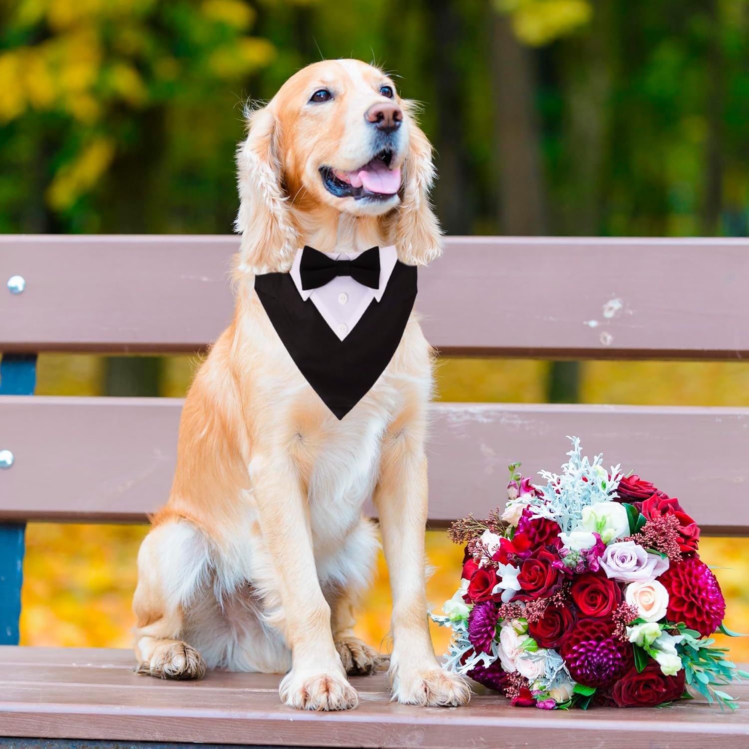 Formal Dog Tuxedo, Wedding Dog Collar with Bow Tie, Adjustable Pet Wedding Collar Bandana for Small Medium Large Dogs (Large, Black)