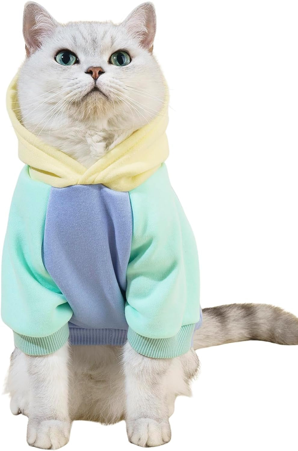 QWEENIE Basic Dog & Cat Hoodie, Warm Jacket - Small/Medium, Cadet Blue