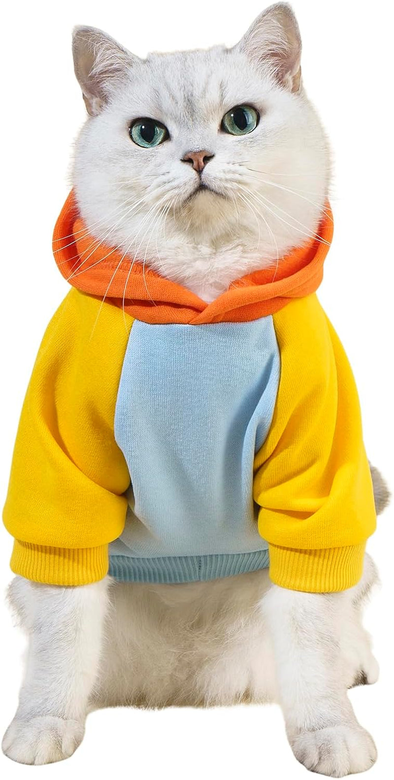 QWEENIE Basic Dog & Cat Hoodie, Warm Jacket - Small/Medium, Cadet Blue