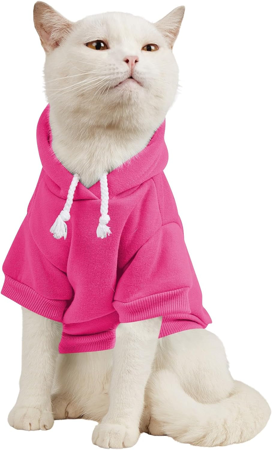 QWEENIE Basic Dog & Cat Hoodie, Warm Jacket - Small/Medium, Cadet Blue