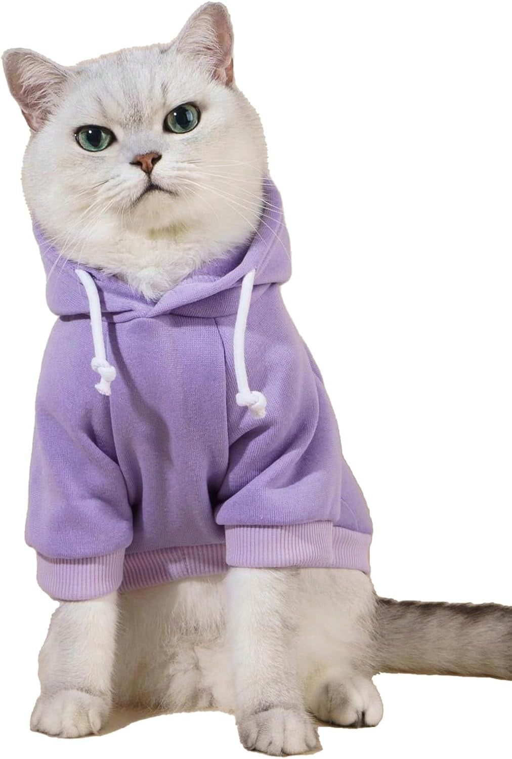 QWEENIE Basic Dog & Cat Hoodie, Warm Jacket - Small/Medium, Cadet Blue