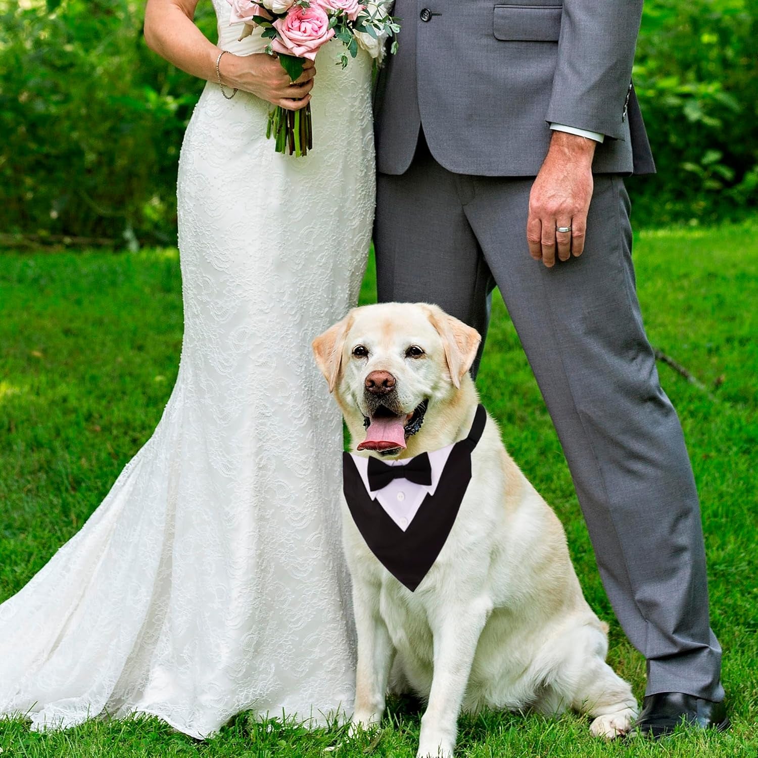 Formal Dog Tuxedo, Wedding Dog Collar with Bow Tie, Adjustable Pet Wedding Collar Bandana for Small Medium Large Dogs (Large, Black)
