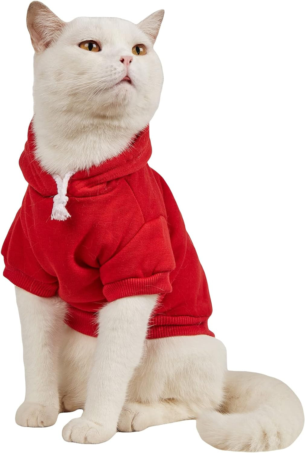 QWEENIE Basic Dog & Cat Hoodie, Warm Jacket - Small/Medium, Cadet Blue